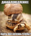 Безымянный.png