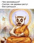 Все суетишься....jpg